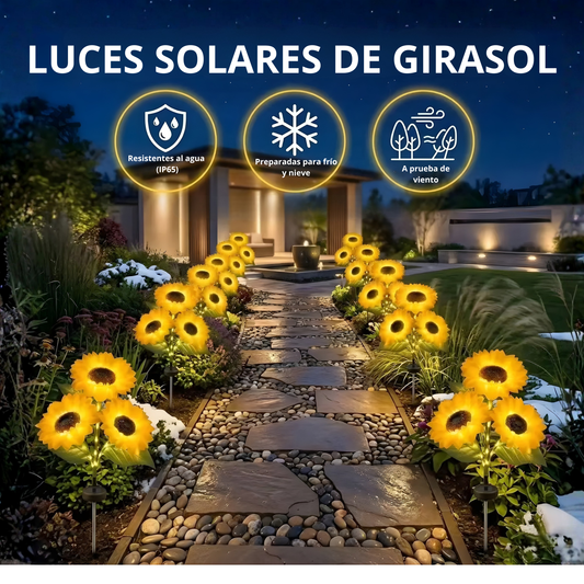 Girasoles Luz Solar