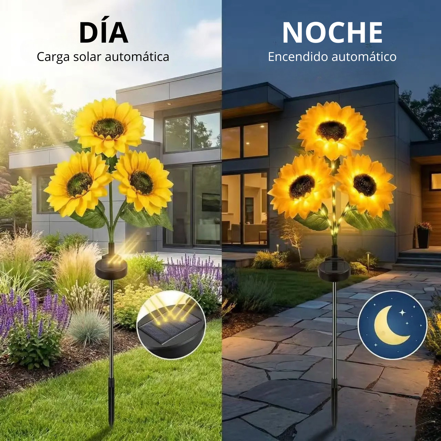 Girasoles Luz Solar