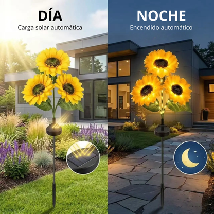 Girasoles Luz Solar